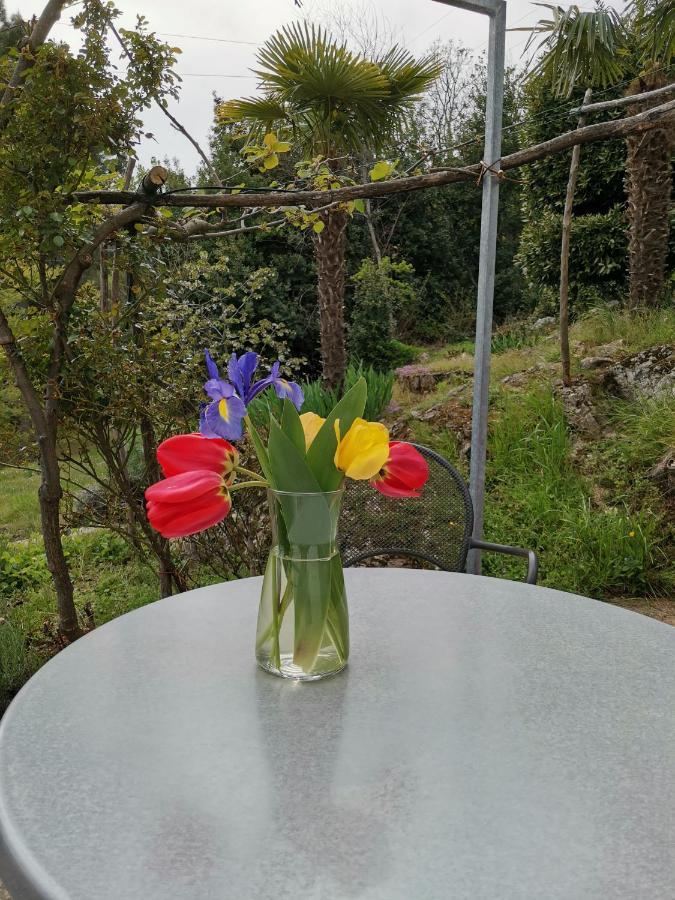 Apartman Marijeta Mošćenička Draga 外观 照片